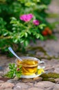 Cup of tea with canker-bloom Royalty Free Stock Photo