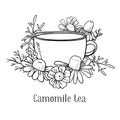 Cup of tea with chamomile flowers and leaves. Hand drawn sketch vector illustration Royalty Free Stock Photo
