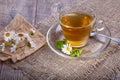 A cup of tea with chamomile on a wooden background. Alternative, traditional medicine