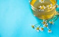 Cup of tea and chamomiles on wooden background