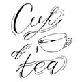 Cup of tea, coffee. Hand drawn sketch illustration on white background, design elements. Menu design. Lettering