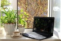 A cup of tea, a computer, a Kalanchoe and aloe flower in pots on a sunny window. Concept of home coziness, comfort and home office