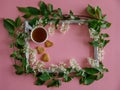 Cup of tea and cookies lying in grey photo frame with white flowers bird cherry tree branches on pink paper background Royalty Free Stock Photo