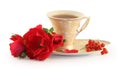 Cup of tea, cookies and rose. Royalty Free Stock Photo