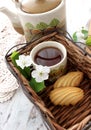 Cup of tea, cookies and spring branch Royalty Free Stock Photo