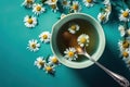 Cup of tea with daisies, chamomile and honey and spoons, top view, blue background. Royalty Free Stock Photo