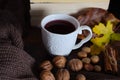 Hot tea in white cup on desk with autumn decoration Royalty Free Stock Photo