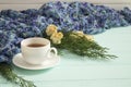 Cup of tea with dried roses and branches of juniper Royalty Free Stock Photo