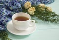 Cup of tea with dried roses and branches of juniper Royalty Free Stock Photo