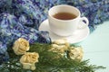Cup of tea with dried roses and branches of juniper Royalty Free Stock Photo