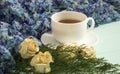 Cup of tea with dried roses and branches of juniper Royalty Free Stock Photo