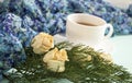 Cup of tea with dried roses and branches of juniper Royalty Free Stock Photo