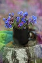 Cup of tea with flowers and warm plaid blanket on wooden stump, picnic in the autumn forest. Fall weekend. Photo toned, selective