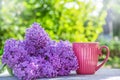 Cup of tea and fragrant lilac. Pink cup. cup of coffee in the garden