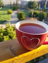 A cup of tea in the fresh air heart sign of love good weather autumn garden