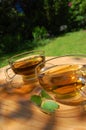Cup tea in the garden Royalty Free Stock Photo