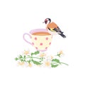 Cup of Tea,  Goldfinch and Jasmine Branch Royalty Free Stock Photo