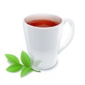 Cup of tea with green tea leafs Royalty Free Stock Photo