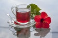 Cup of tea with ibiscus flowers Royalty Free Stock Photo