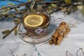 A cup of tea with lemon on the background of willow branches. Royalty Free Stock Photo