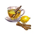 A cup of tea with lemon and cinnamon. Glass transparent cup filled with tea. Watercolor illustration.