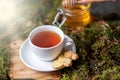 Cup of tea with lemon, ginger and honey on wood and moss in the forest Royalty Free Stock Photo