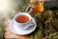 Cup of tea with lemon, ginger and honey on wood and moss in the forest Royalty Free Stock Photo