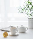 A cup of tea with lemon, a teapot and green branch on a white table against the background of a kitchen window Royalty Free Stock Photo