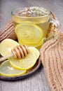 Cup of tea with lemon and a warm scarf. vitamin tea. cold and flu remedy. Royalty Free Stock Photo
