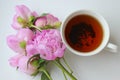 A Cup of tea on a light background surrounded by pink peony flowers. The view from the top