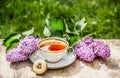 Cup of tea and lilac flowers. Breakfast in the garden. Royalty Free Stock Photo