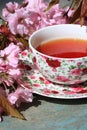 A cup of tea in a lovely English cup and Japanese cherry tree flowers