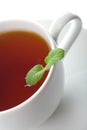 Cup of tea with mint isolated
