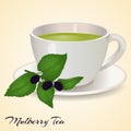 Cup of tea with Mullberry and leaves on orange background. Mullberry Tea. Vector illustration. Royalty Free Stock Photo