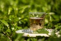 A cup of tea Royalty Free Stock Photo