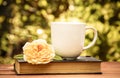 Cup of tea, old book and rose in the summer garden. Coffee and book. Royalty Free Stock Photo