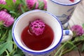 Cup of tea with pink flowers. Herbal tea or infusion with red clover on the wooden table. Natural floral background. Royalty Free Stock Photo