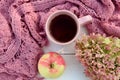 Cup of tea pink scarf apple and hydrangea inflorescence on white wooden table.