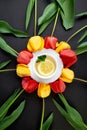 Cup of tea with red and yellow tulip around. Royalty Free Stock Photo