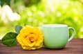 Cup of tea and rose on background of spring greens. Tea in the garden. Cup of coffee and fragrant yellow rose. Royalty Free Stock Photo