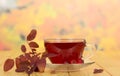 Cup of tea rosehip berries on background autumn leaves. Royalty Free Stock Photo