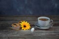 A cup of tea on a saucer with a spoon and two cupcakes on a napkin with a yellow flower, next to two cubes of sugar Royalty Free Stock Photo