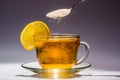 Cup of tea and slice of lemon Royalty Free Stock Photo