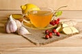 Cup of tea,slices of ginger,honey,rosehip berries and viburnum Royalty Free Stock Photo