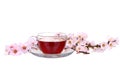 Cup of tea with a sprig of cherry blossoms isolated