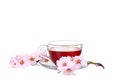 Cup of tea with a sprig of cherry blossoms isolated