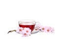 Cup of tea with a sprig of cherry blossoms isolated