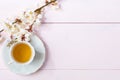 Cup of tea and spring flowers blooms of an Apricot on a light pink wooden table