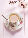 Cup of tea and spring flowers blooms of an Apricot on a light pink wooden table