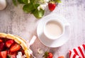 Cup of tea and tasty and appetizing cake with fresh strawberries decorated savoiardi cookies and flowers branch of apple tree. Top Royalty Free Stock Photo